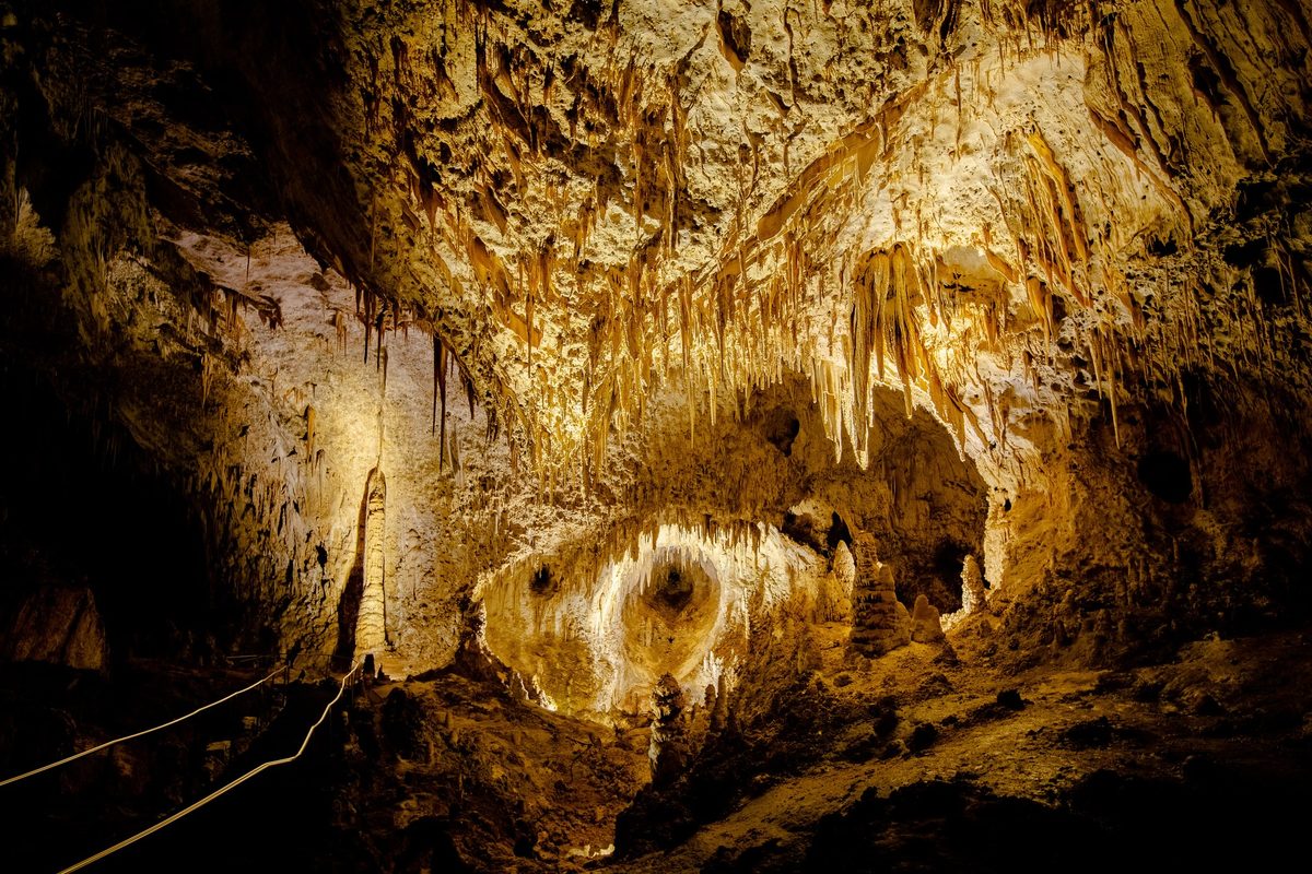 Reino oculto de 119 cuevas antiguas en el desierto de Nuevo México, hogar de cazadores aéreos que capturan presas a 60 mph