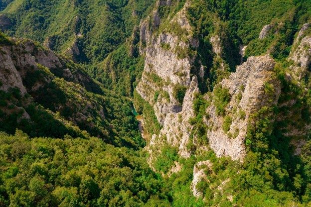 Dos diminutas especies recién descubiertas con puertas delanteras integradas que pueden cerrarlas y aislarse