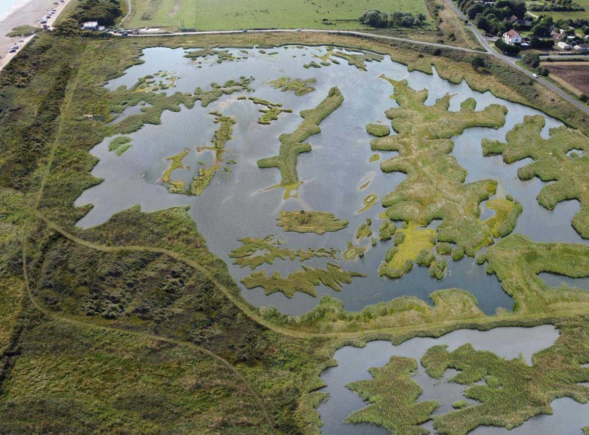 Campo de golf en Inglaterra inundado a propósito; ahora ocurre algo increíble
