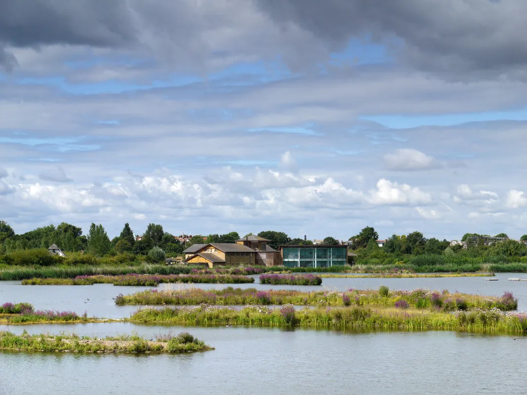 London Wetland Centre. © WWT