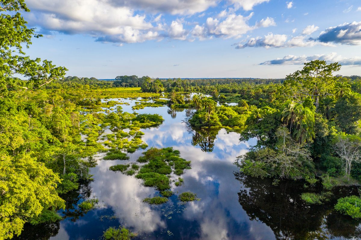 Más grande que el estado de Nueva York y contiene más de 30 mil millones de toneladas de carbono, equivalente a tres años de emisiones globales de combustibles fósiles