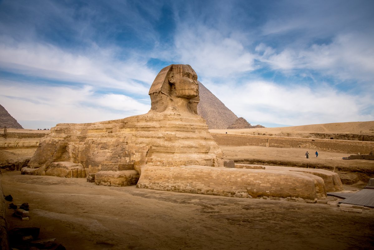 Nueva especie de cocodrilo descubierta en las rocas utilizadas para construir la Gran Esfinge de Egipto