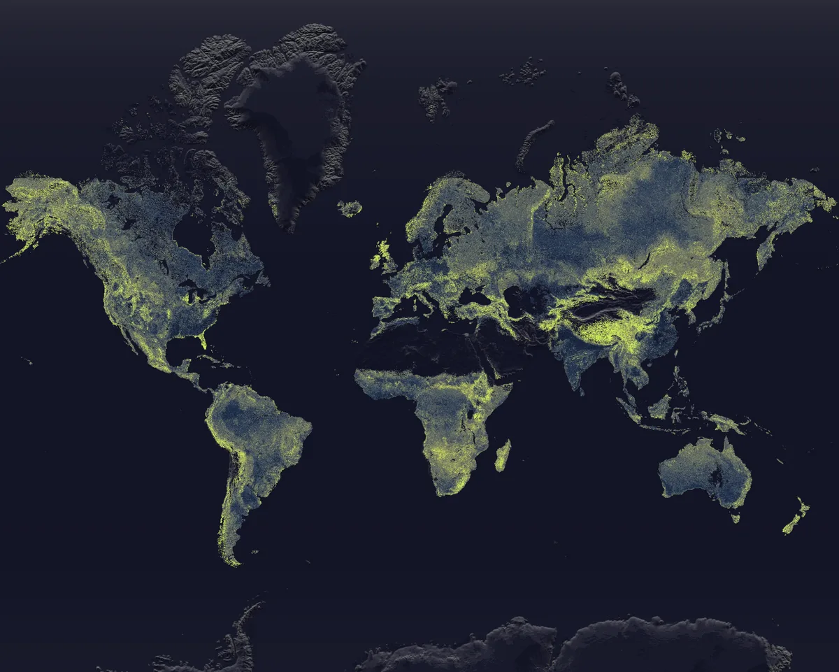 The Mycorrhizal Infrastructure Map showing the underground network.  